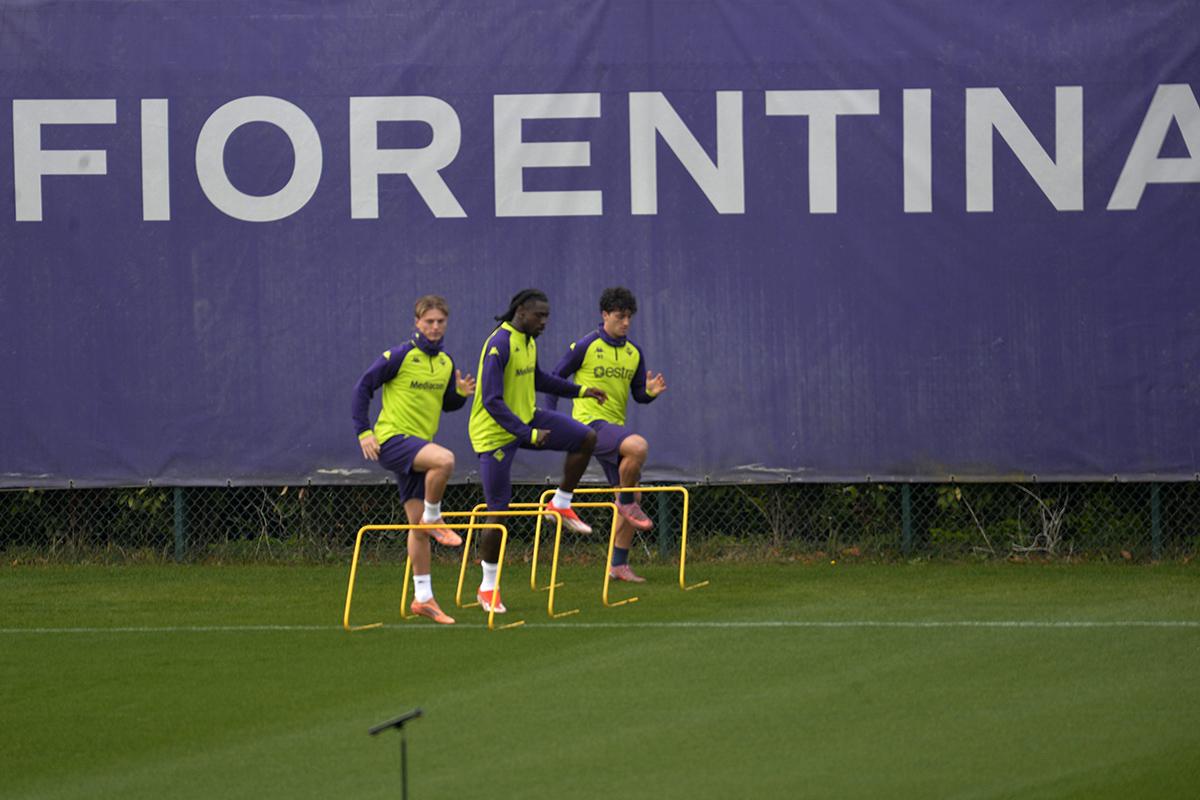 La giornata viola: il riassunto