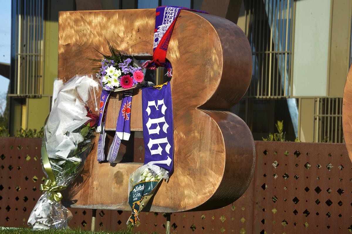 Gallery image 11