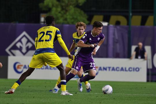 L’Arezzo guarda in casa Fiorentina: nel mirino Kospo, Martinelli e Sadotti