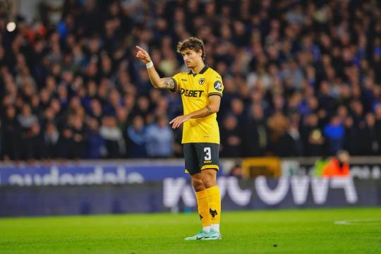 Fiorentina su un 2002 del Wolverhampton: nome e ruolo