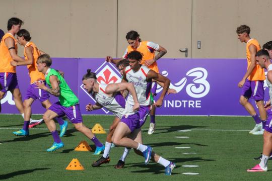 La giornata viola: il riassunto