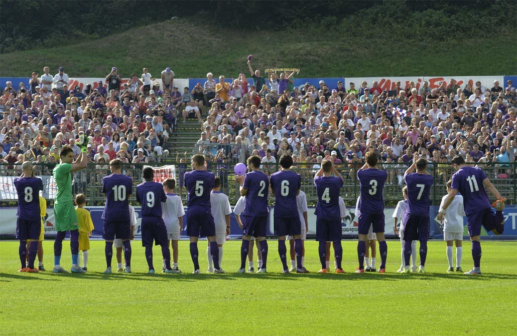 Fiorentina-Torino, VOTA la FORMAZIONE DEI TIFOSI SU VI.IT