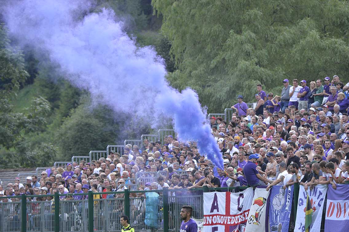 Fiorentina - Bari 1-1, Tifosi