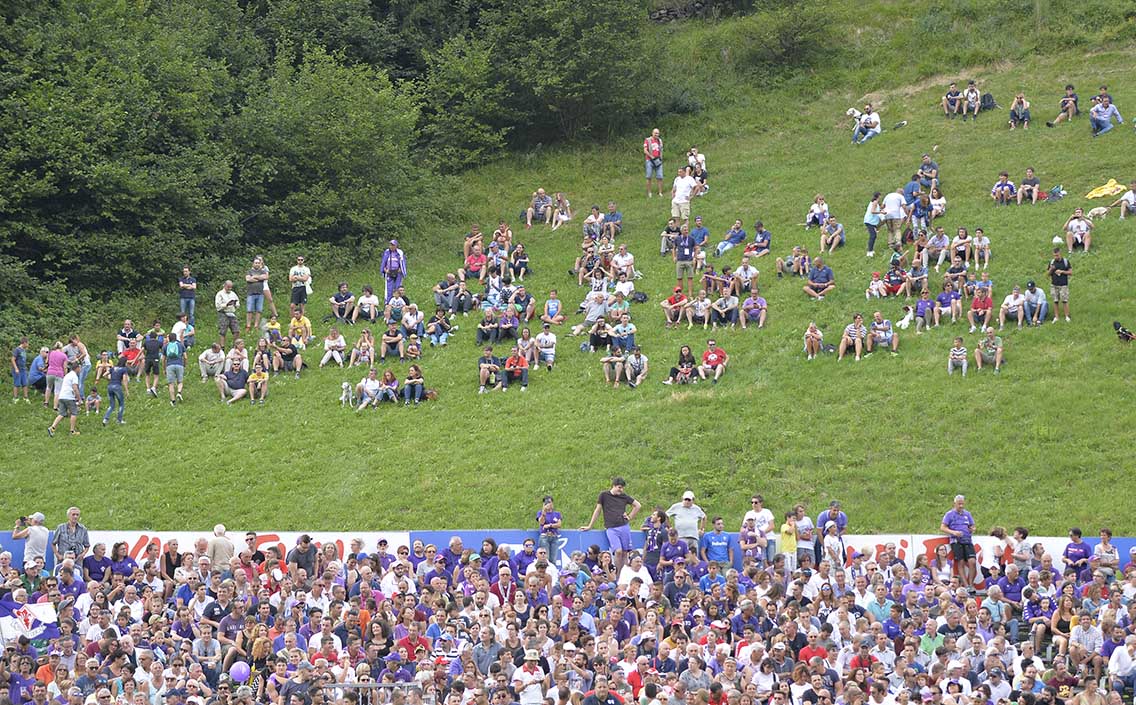 Fiorentina - Bari 1-1, Tifosi