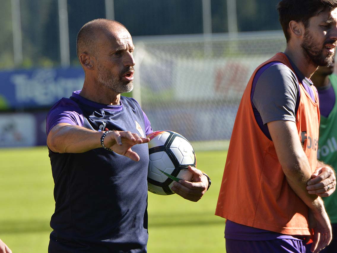 staff pioli