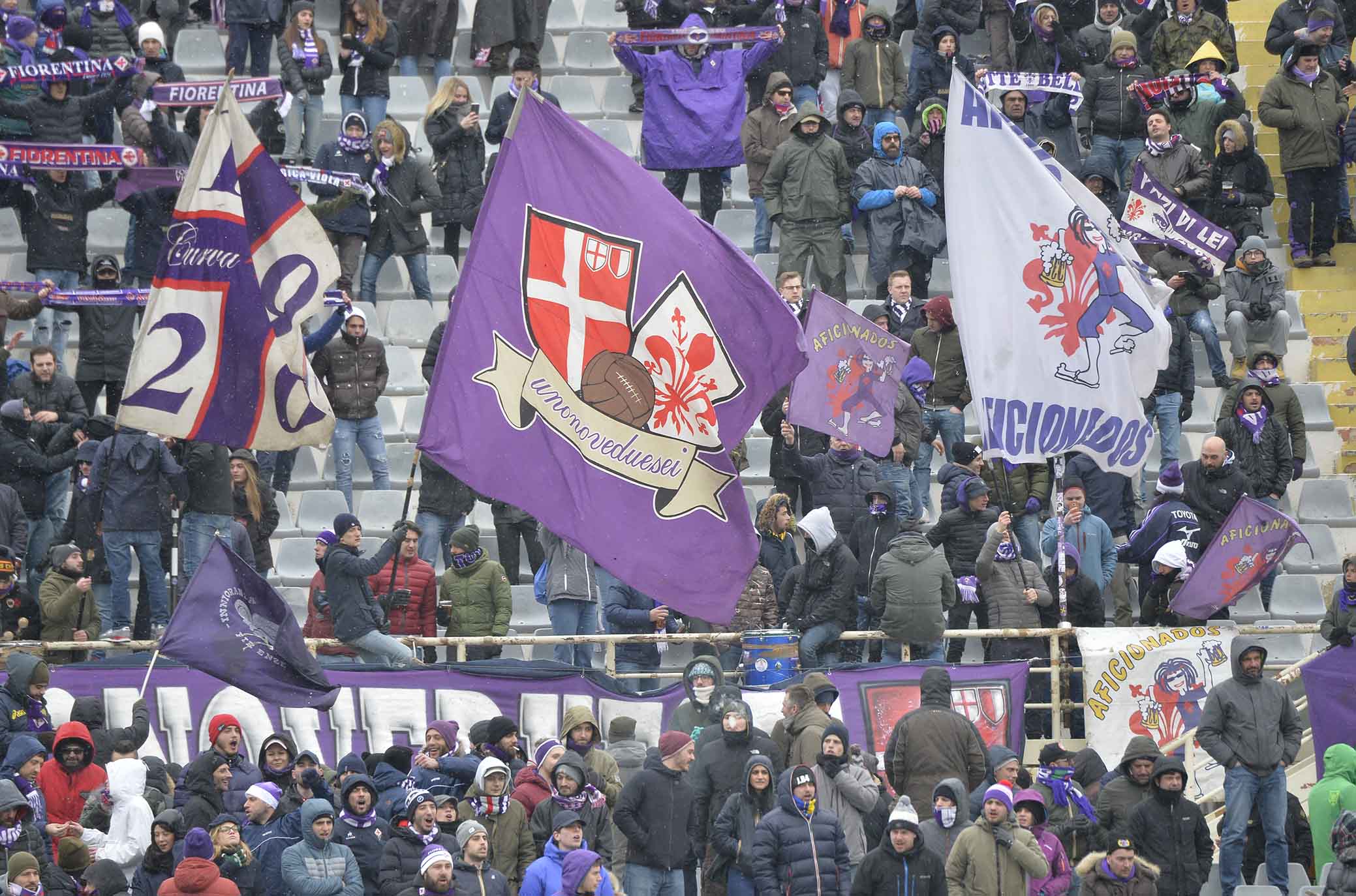 La giornata viola, il riassunto