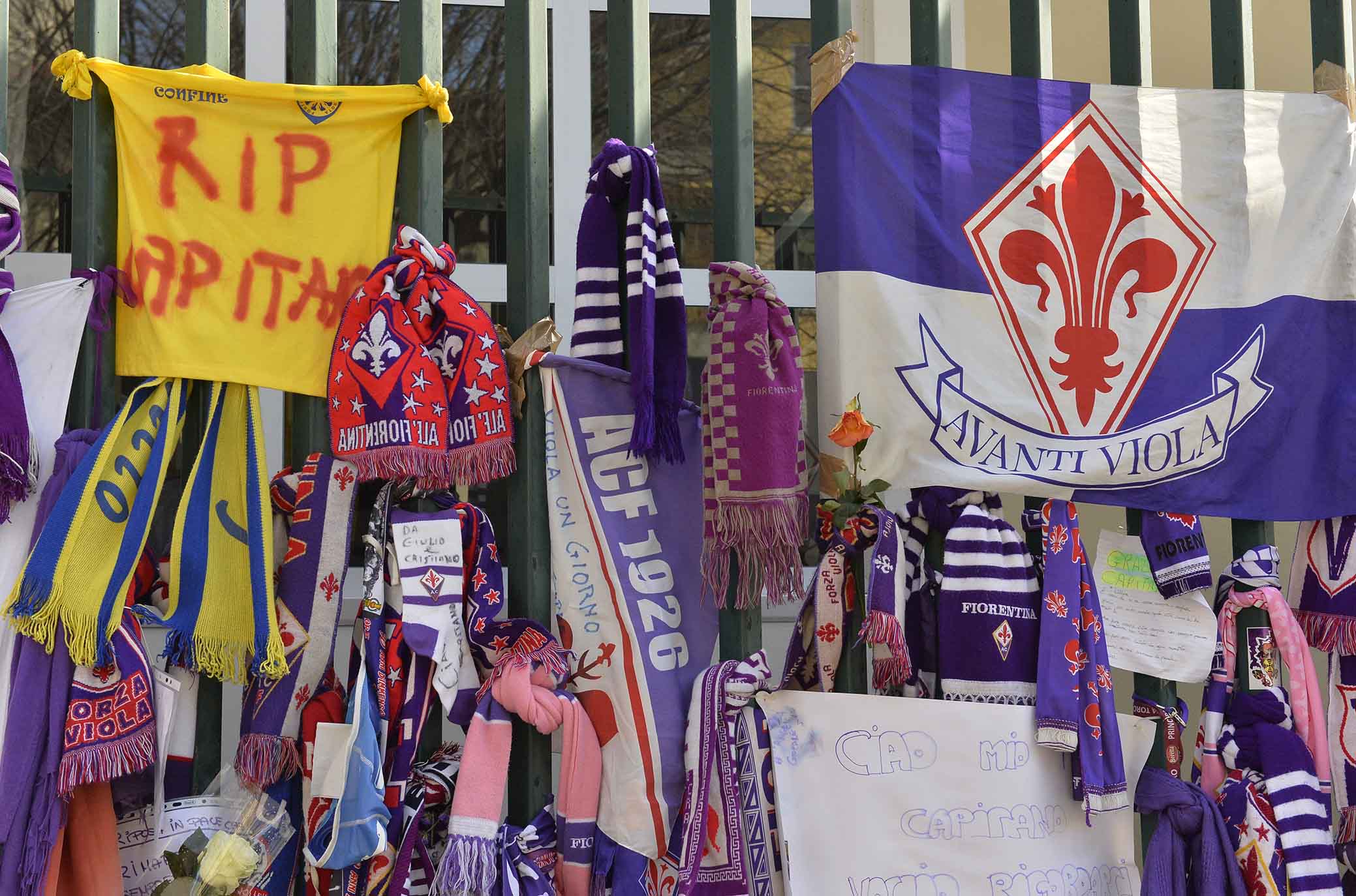 Fiorentina-Benevento, venduti già 9000 tagliandi ed è prevista una coreografia per Davide