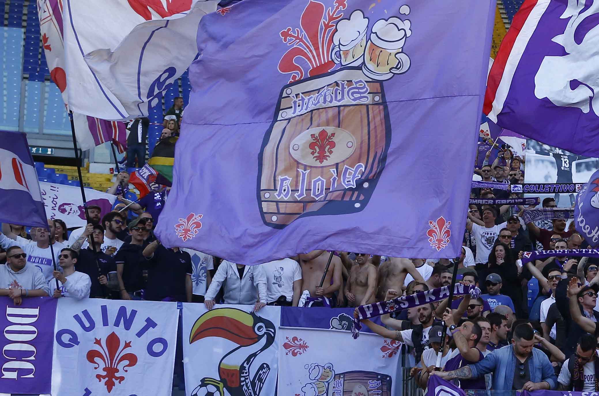 La giornata viola, il riassunto