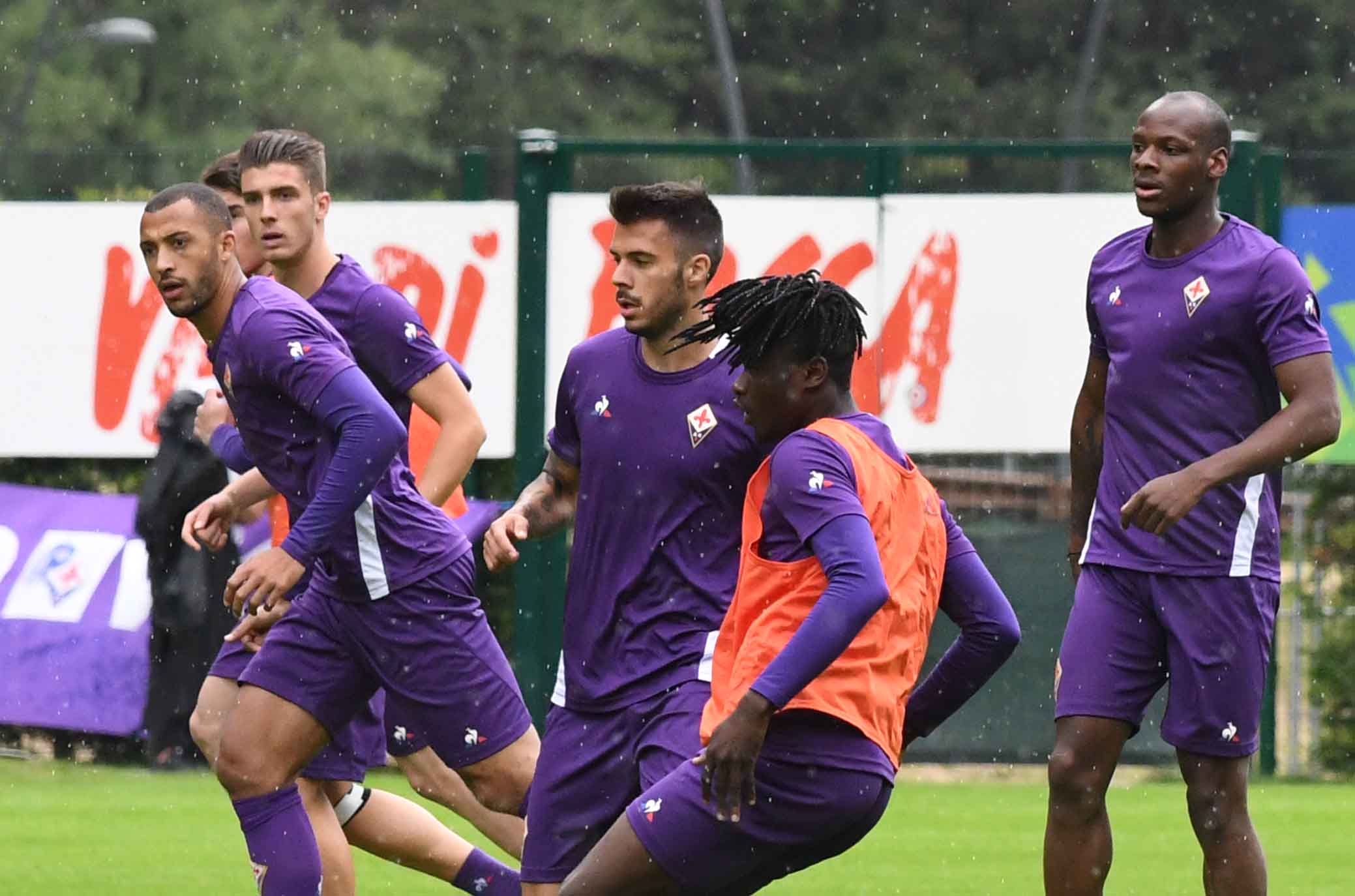 La giornata viola: il riassunto