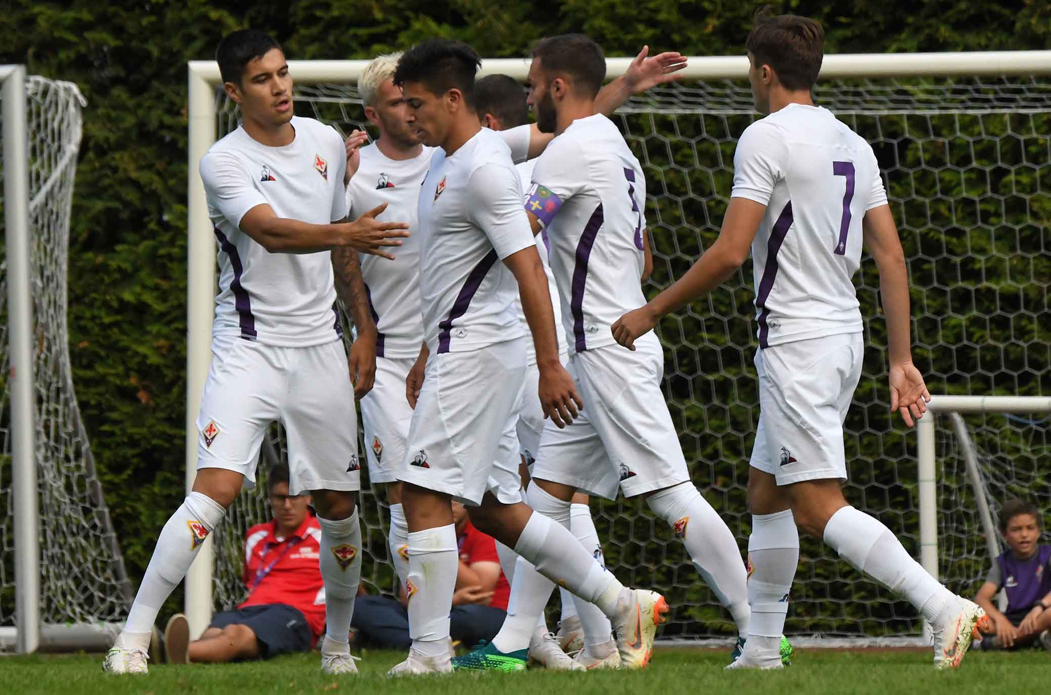 La giornata viola, il riassunto