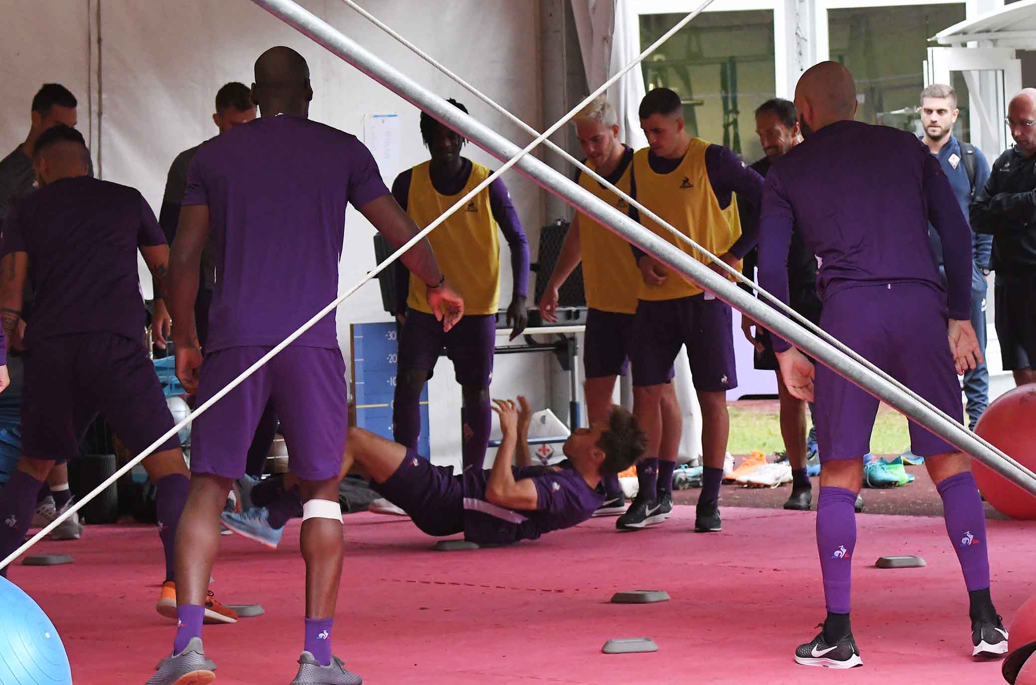 La giornata viola, il riassunto