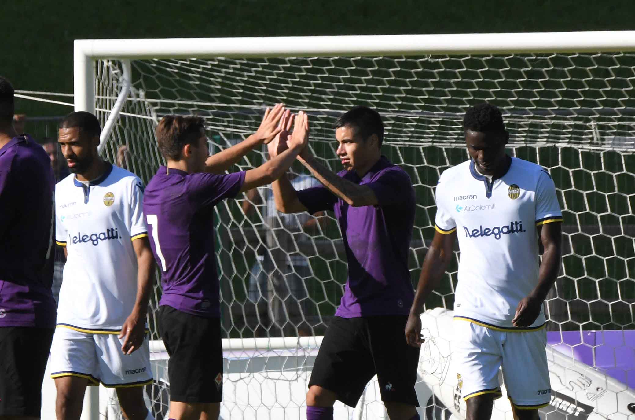 Fiorentina-Hellas Verona, guarda le immagini più belle nel FOTOALBUM di VI.IT