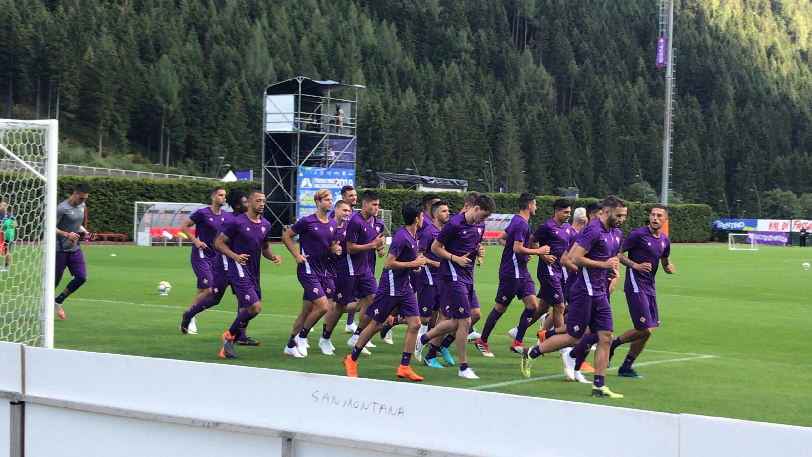 La giornata viola: il riassunto