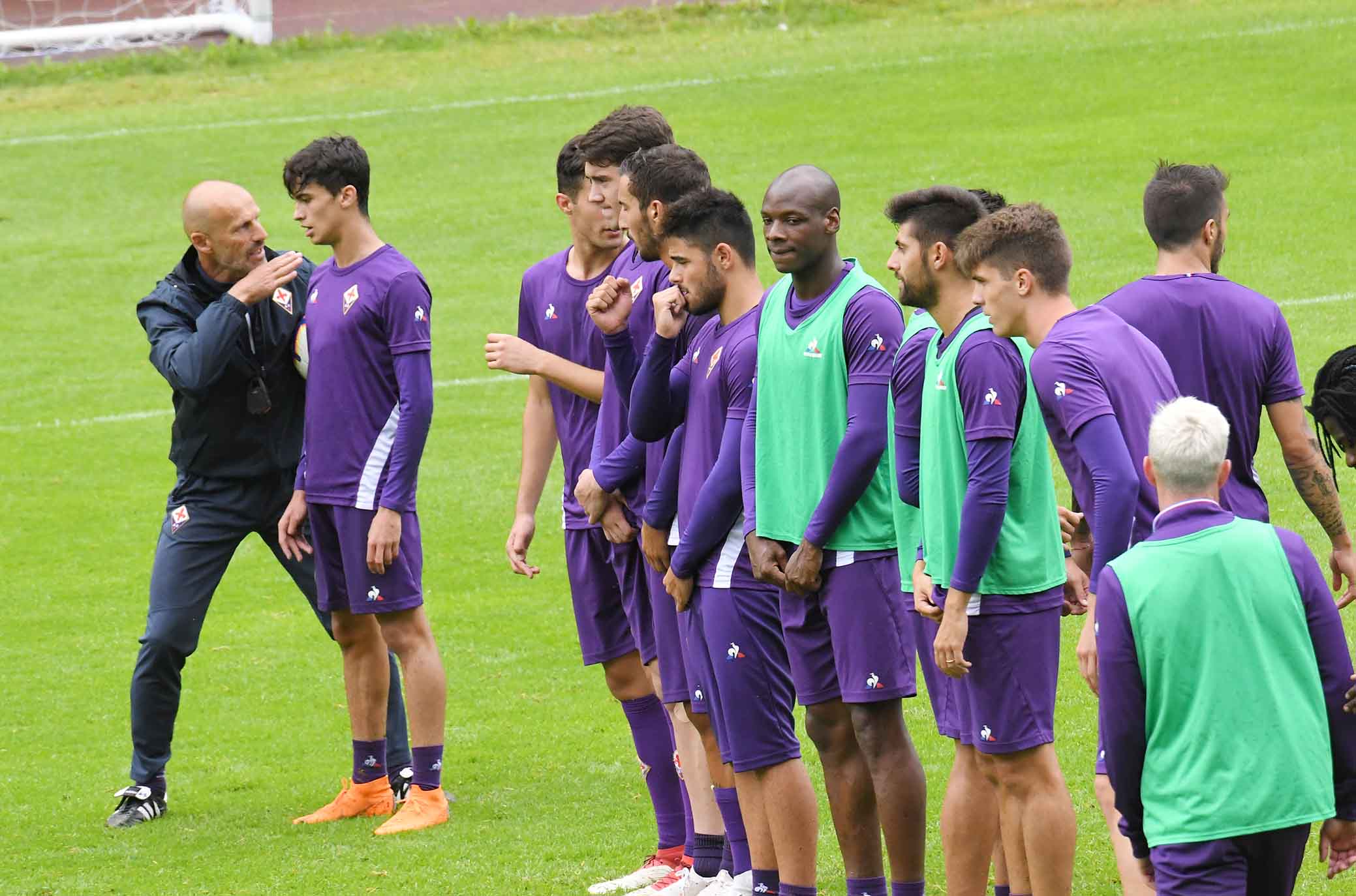 La giornata viola, il riassunto