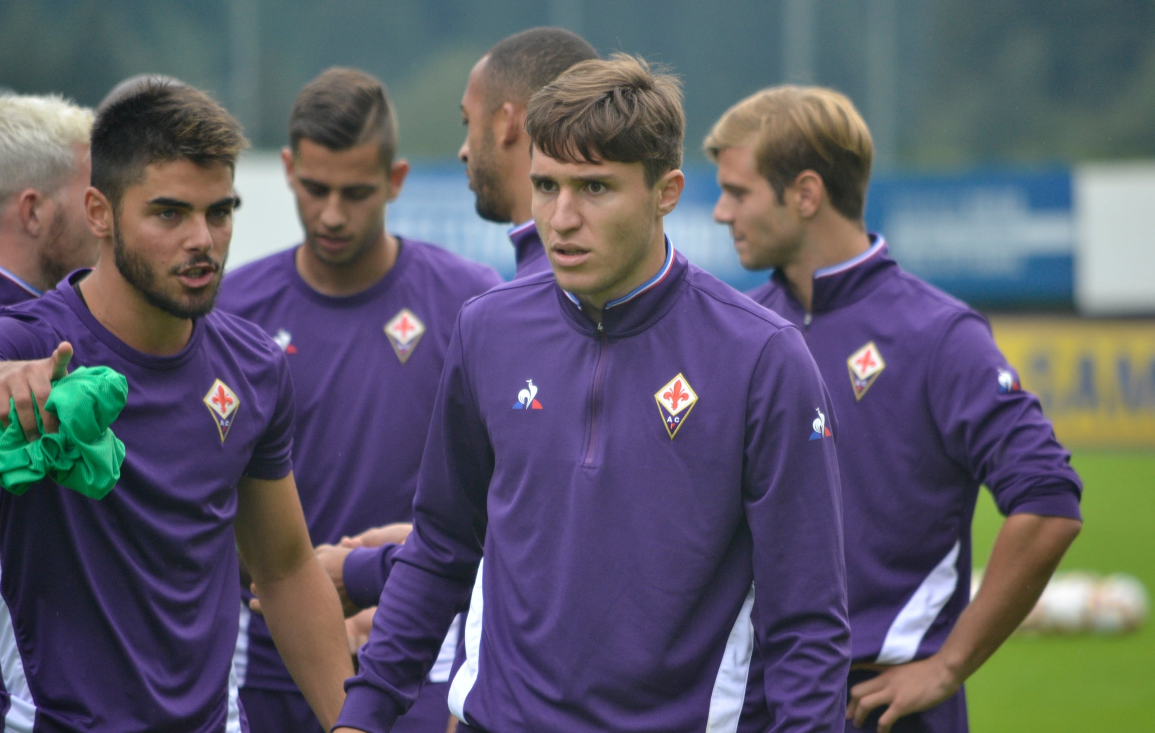 La giornata viola, il riassunto