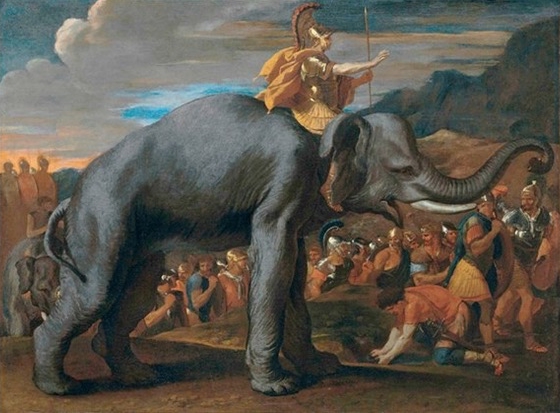 Il blog di Ludwigzaller: Elefanti