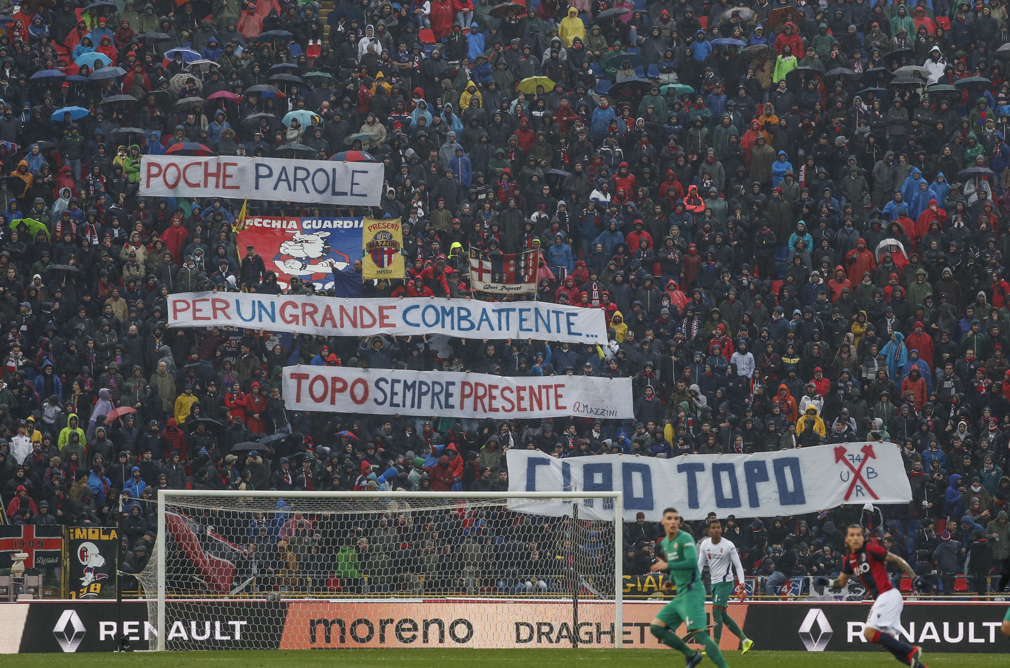 BOLOGNA ITALIA, 25-11-18 - 13° GIORNATA DI CAMPIONATO SERIE A TIM - STADIO RENATO DALL'ARA, BOLOGNA VS FIORENTINA, BY CASTALDI / SILPRESS NELLA FOTO: TIFOSI DEL BOLOGNA