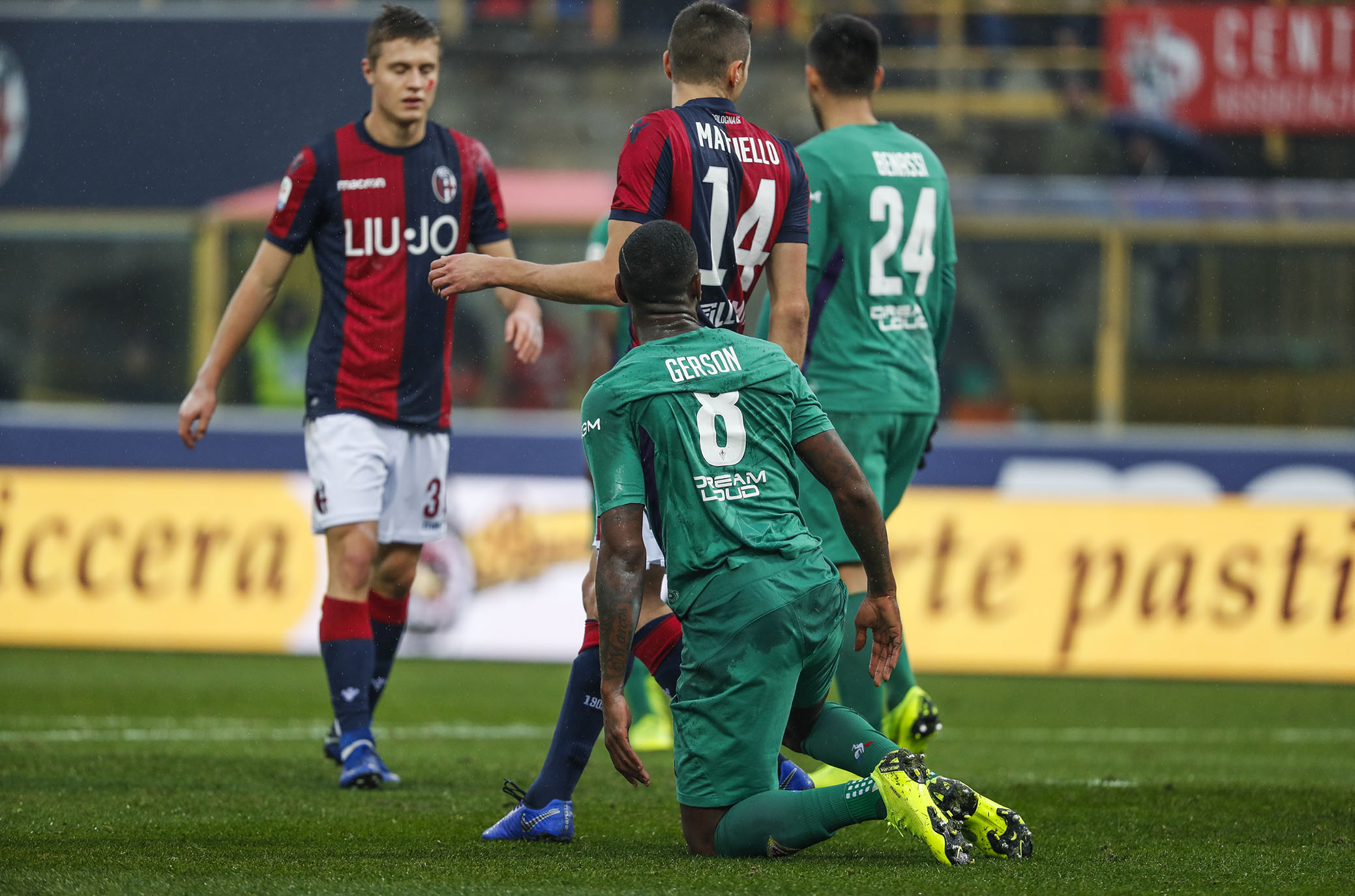 La giornata viola, il riassunto