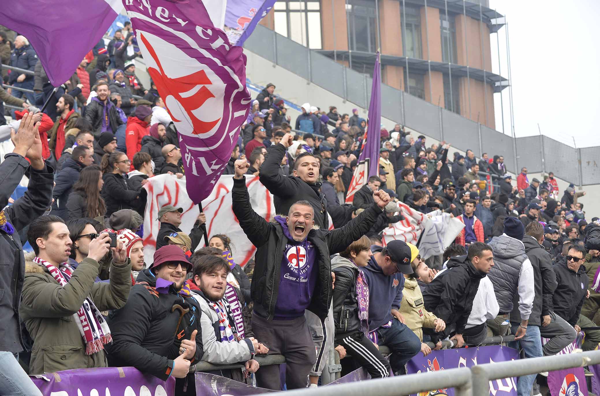 La giornata viola, il riassunto