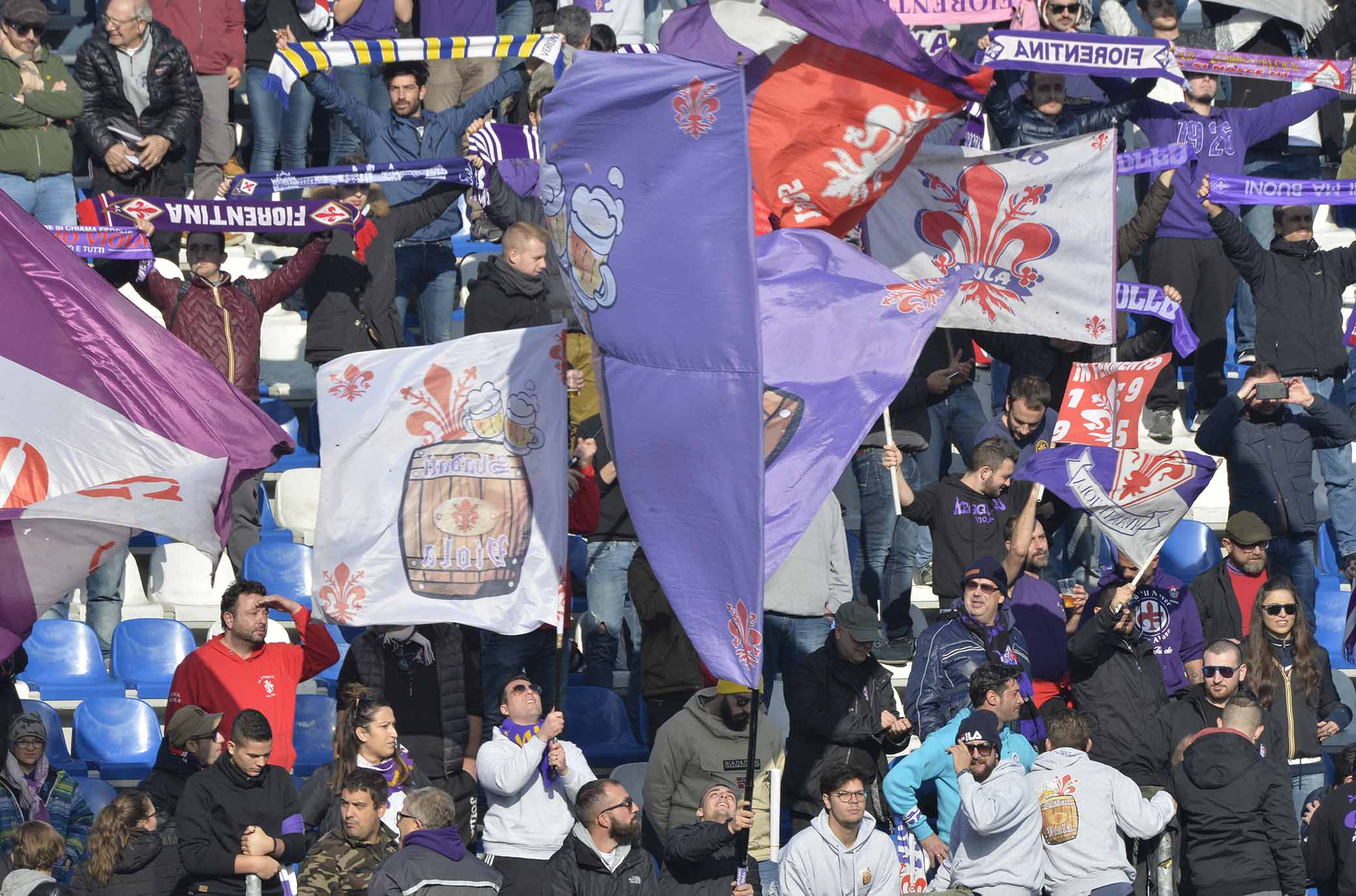 La giornata viola, il riassunto