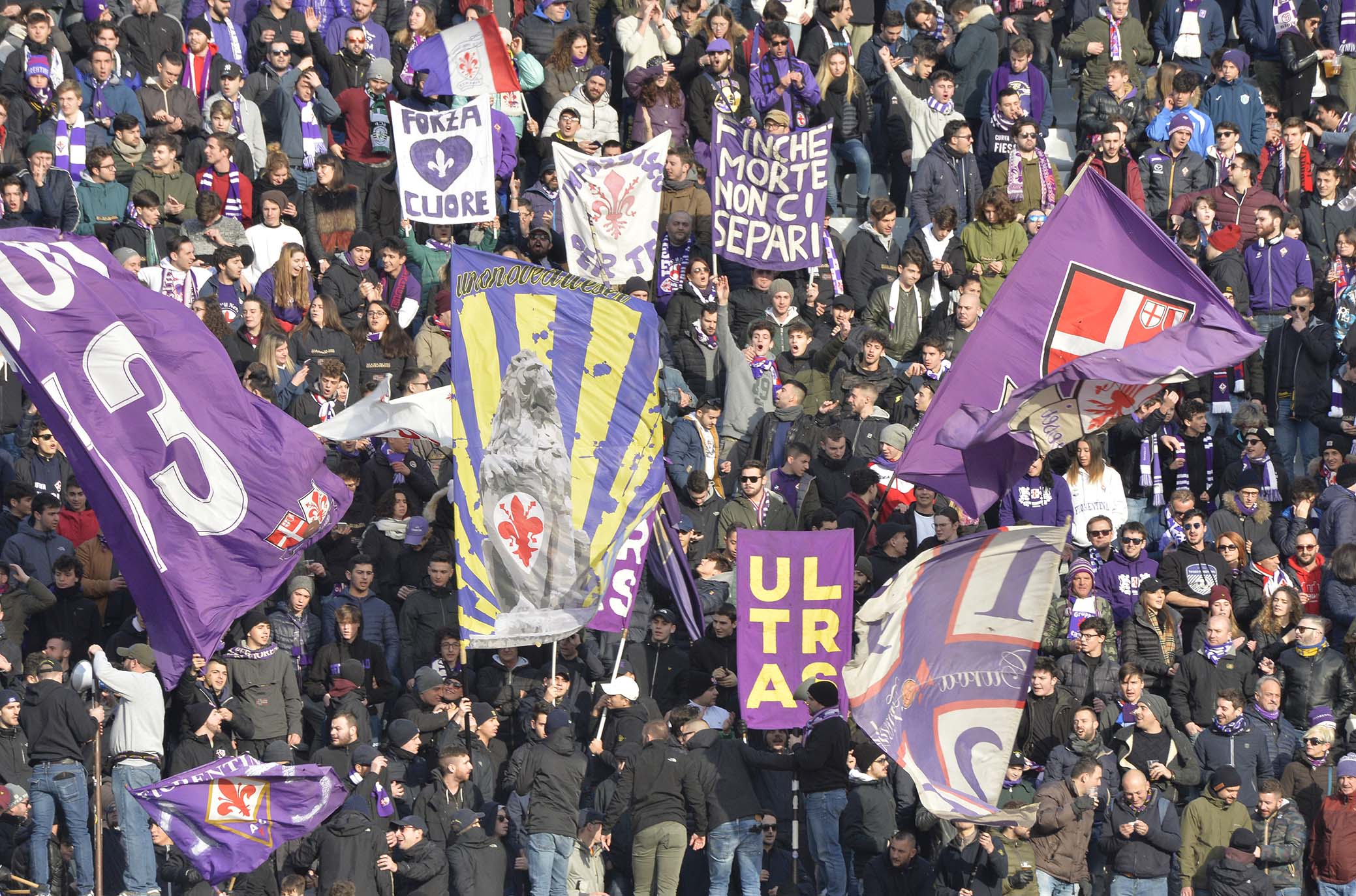 FIORENTINA-SAMPDORIA 20-01-2019 TIFOSI DELLA FIORENTINA. GALASSI SILVANO/SILPRESS