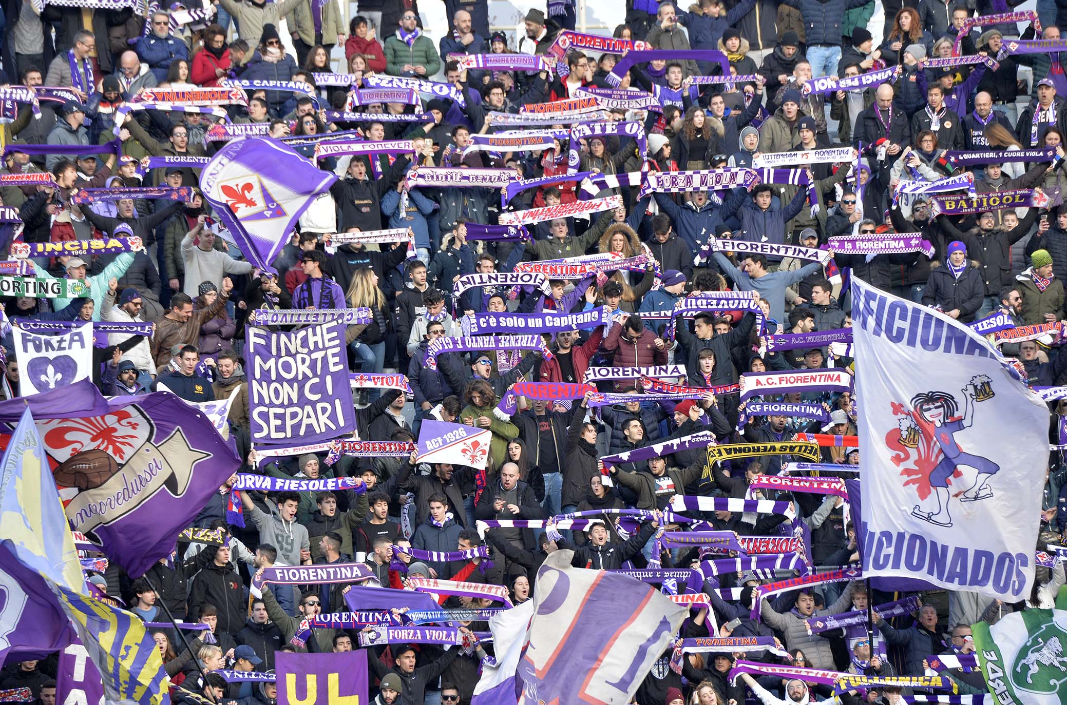 La giornata viola, il riassunto