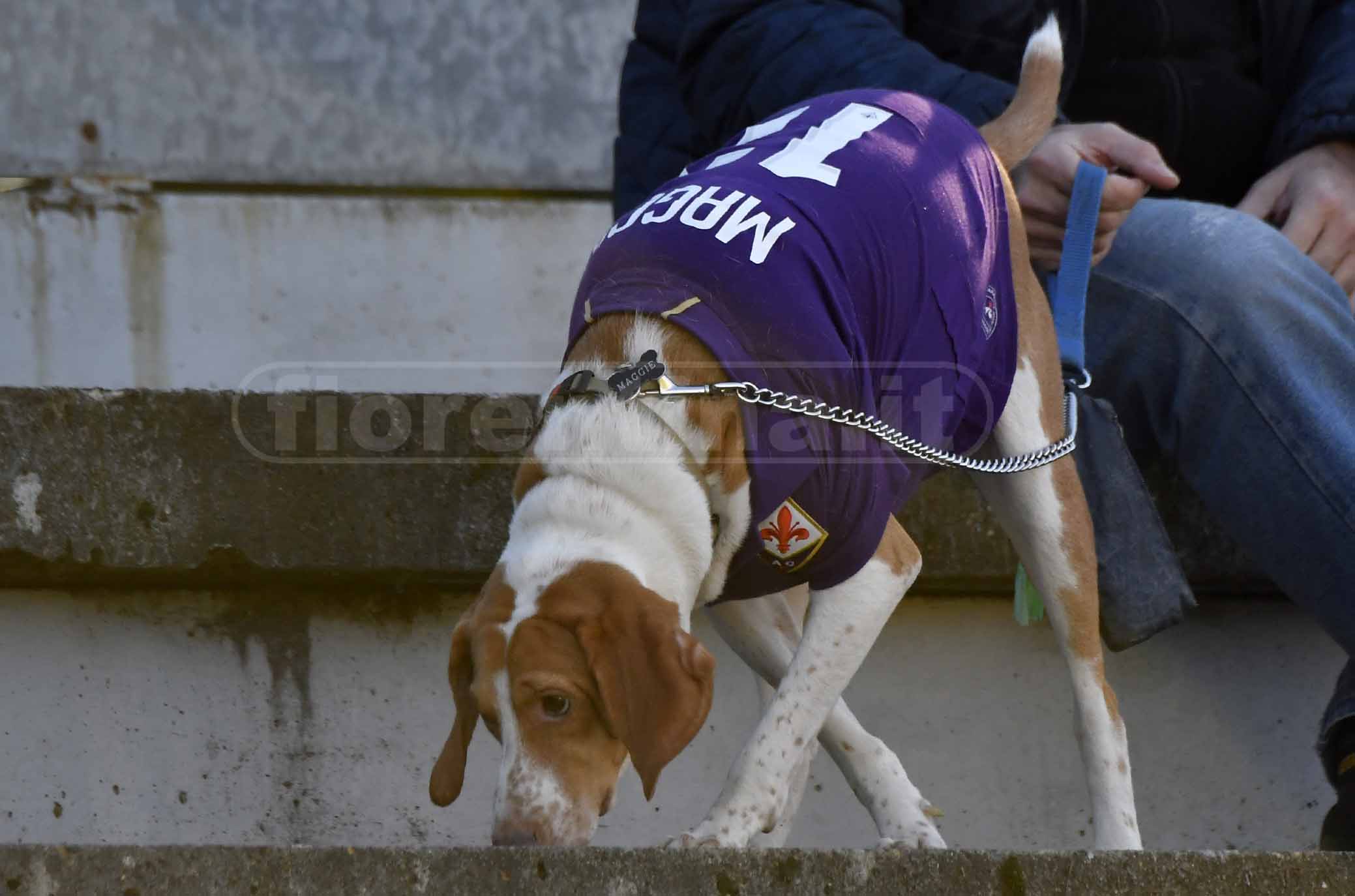 FIORENTINA WOMEN'S-BARI 05-02-2019. TIFOSO DELLA FIORENTINA. GALASSI SILVANO/SILPRESS