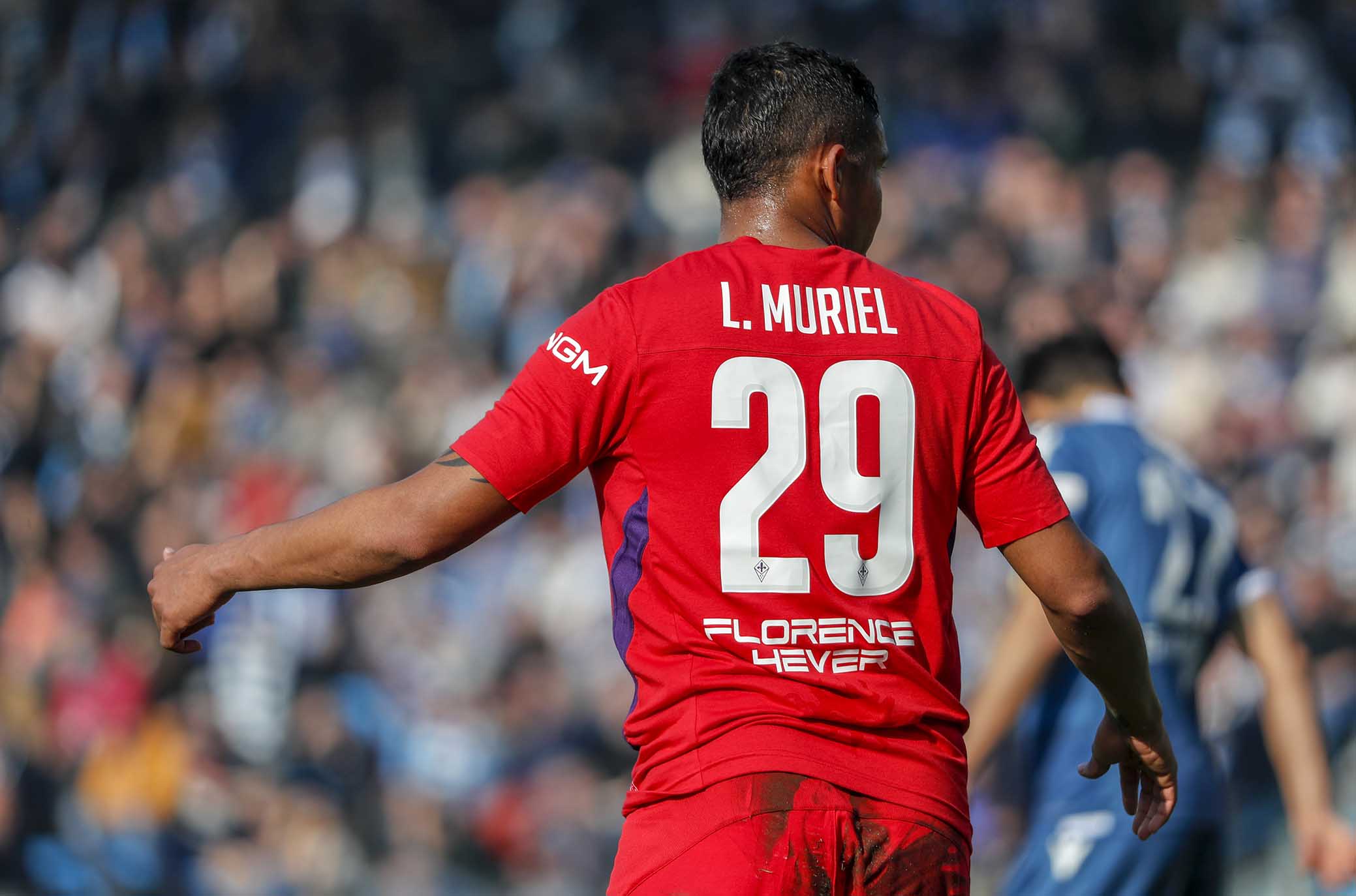 Muriel: “Vorrei arrivare in doppia cifra e segnare il gol che regali la Coppa alla Fiorentina”