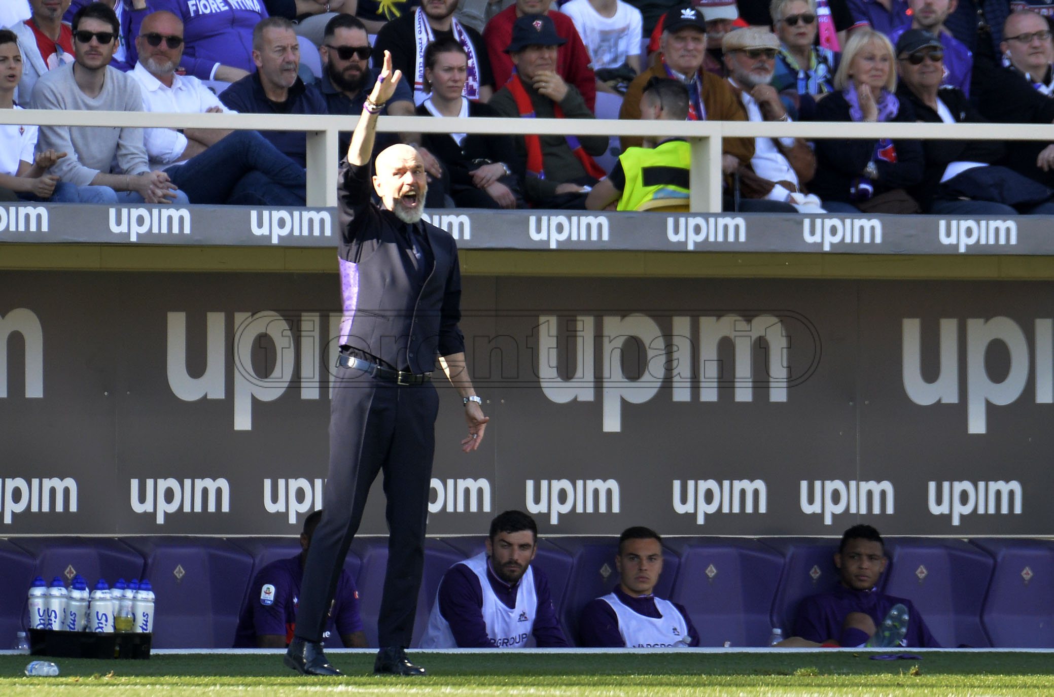FIORENTINA-TORINO 31-03-2019 STEFANO PIOLI. GALASSI SILVANO/SILPRESS