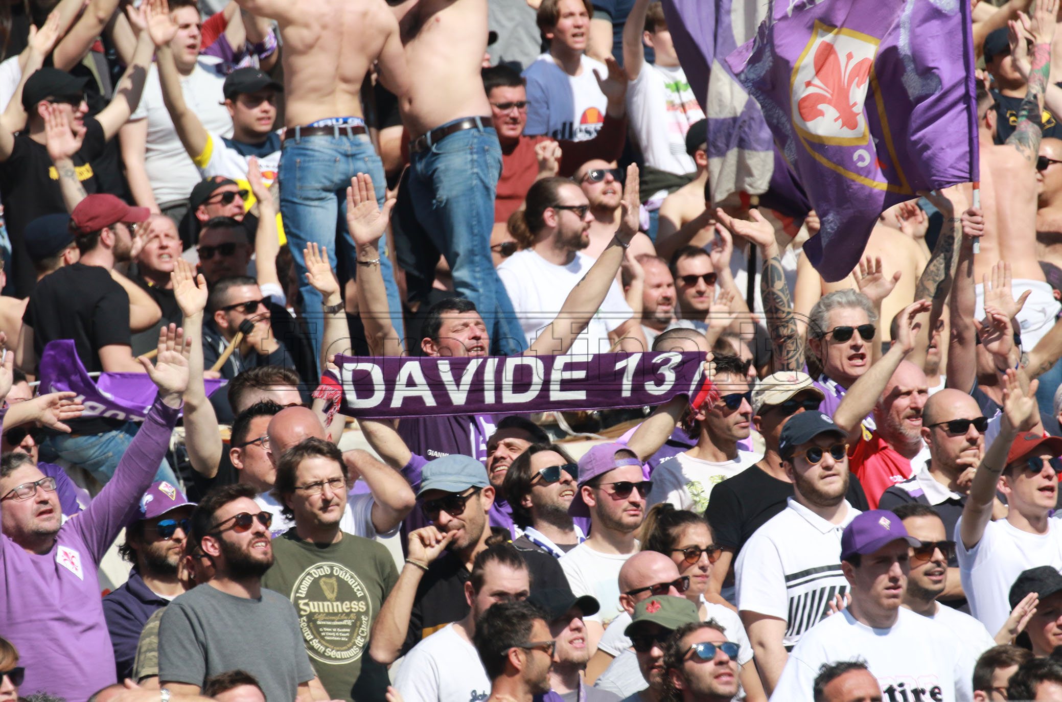 La giornata viola, il riassunto