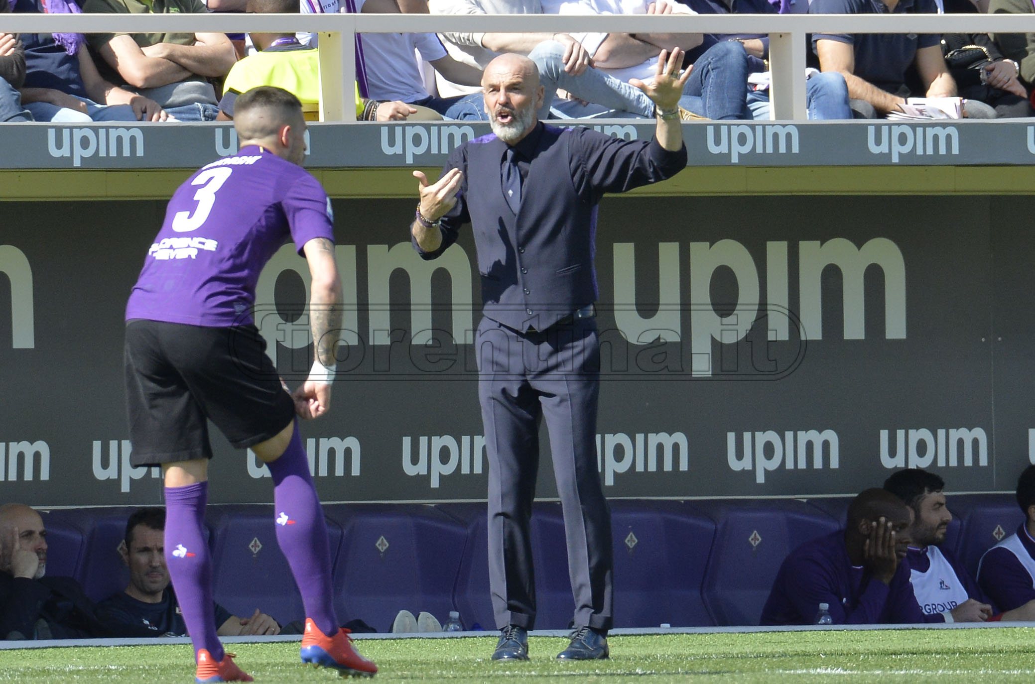 FIORENTINA-TORINO 31-03-2019 STEFANO PIOLI. GALASSI SILVANO/SILPRESS