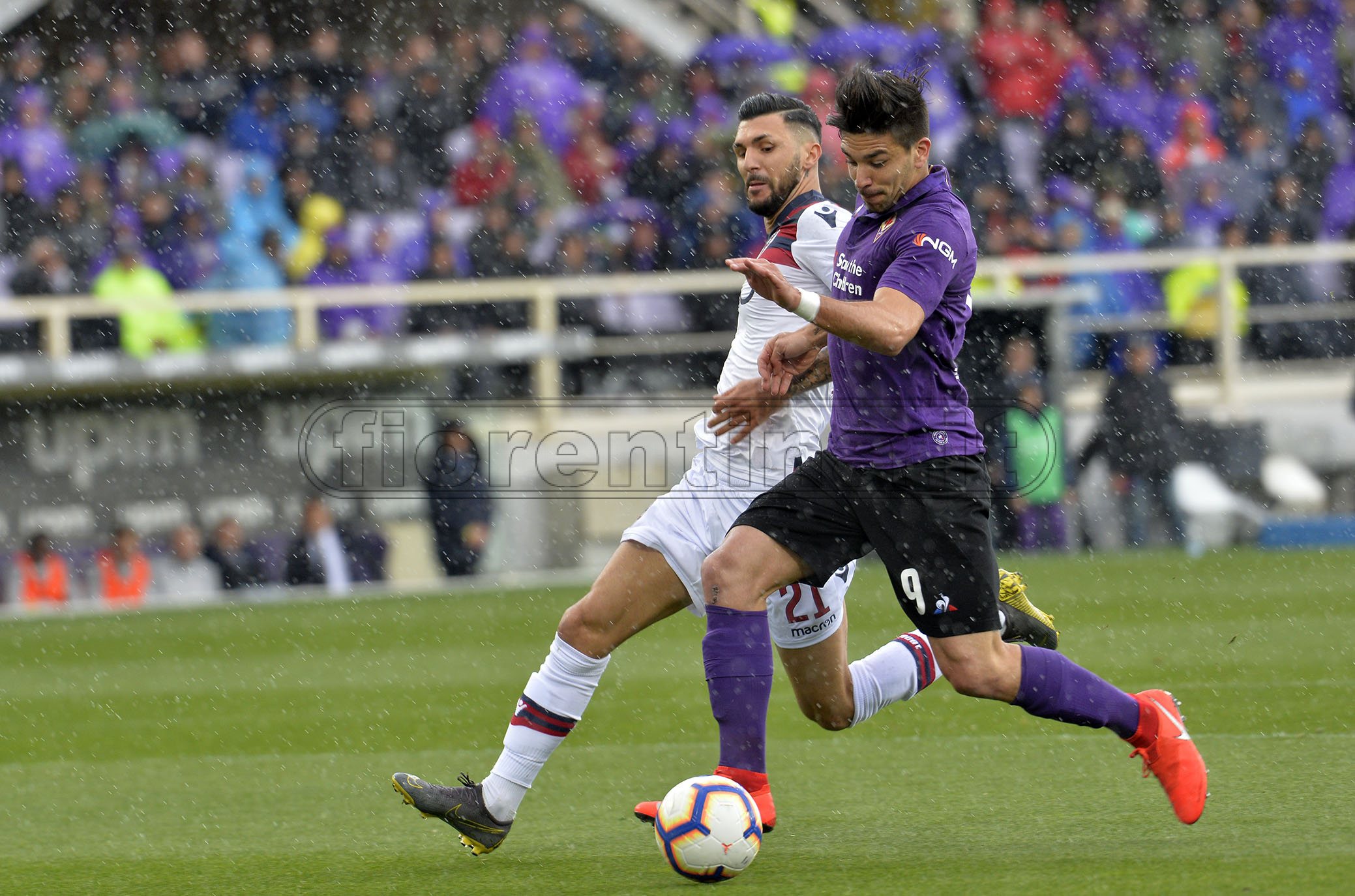 FIORENTINA-BOLOGNA 14-04-2019 GOVANNISIMEONE. GALASSI SILVANO/SILPRESS