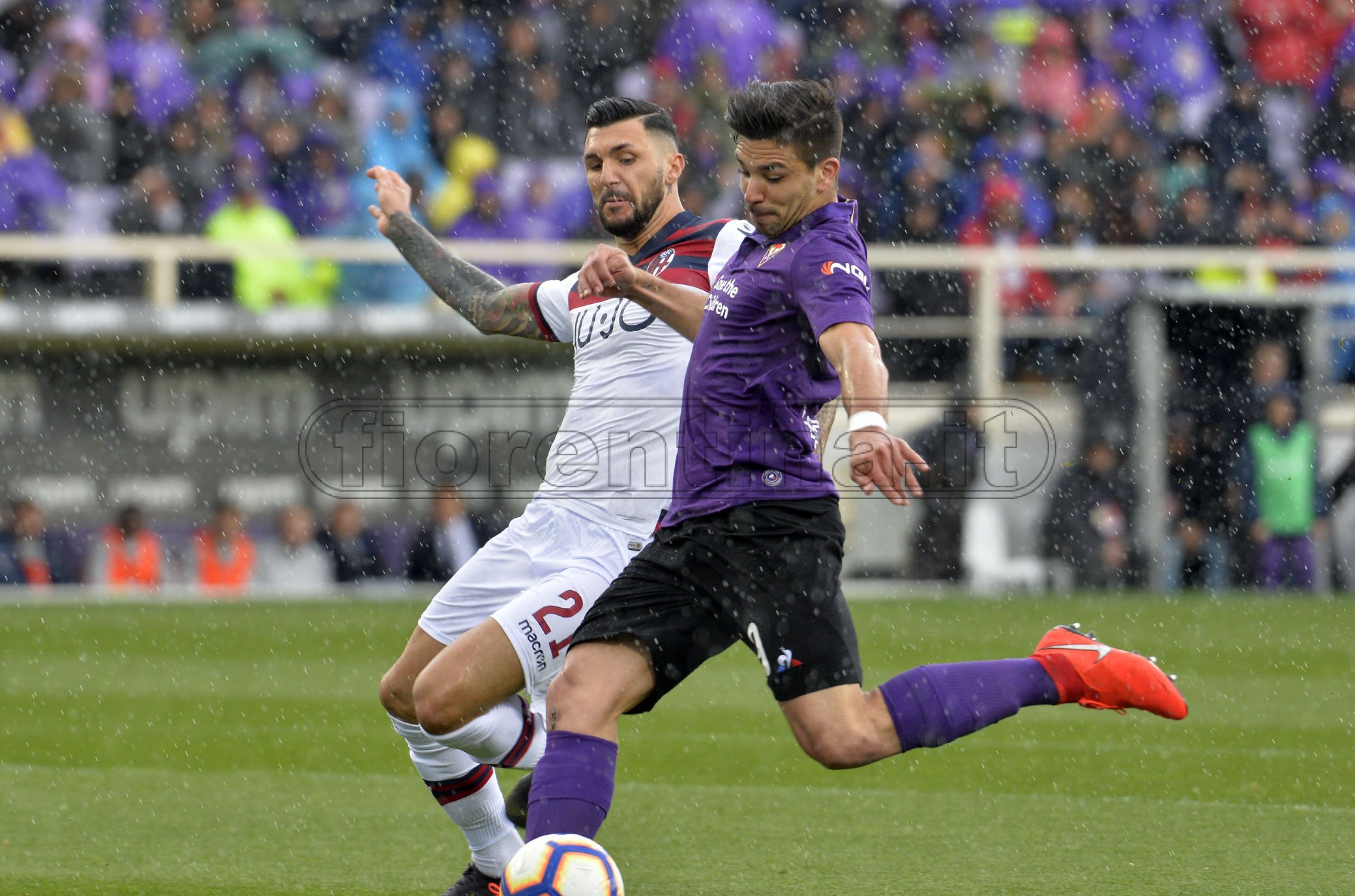 FIORENTINA-BOLOGNA 14-04-2019 GIOVANNI SIMEONE. GALASSI SILVANO/SILPRESS