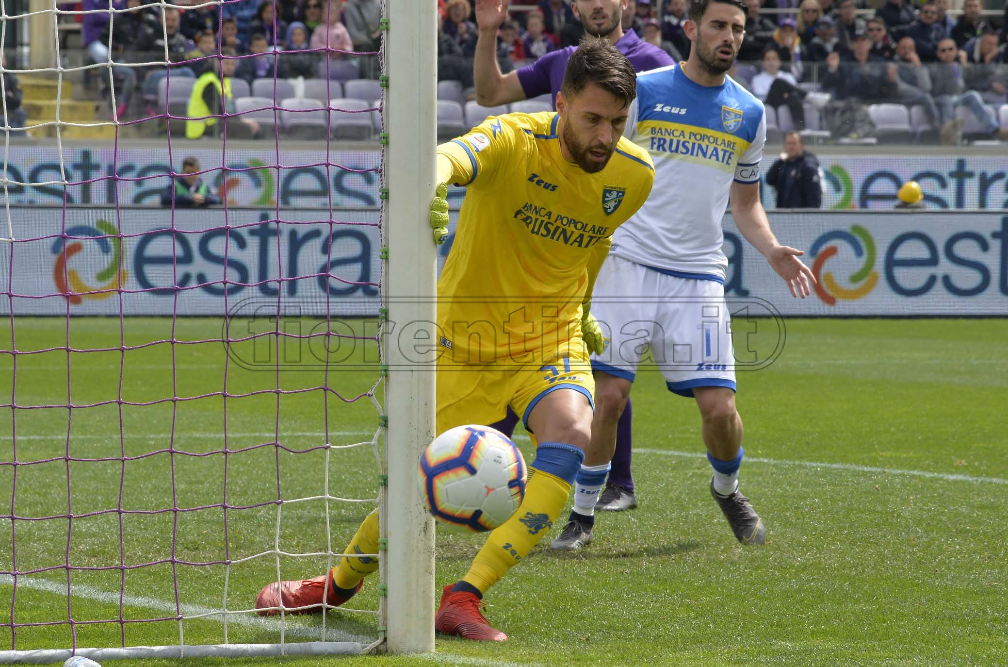 Spal, da un portiere ex viola all'altro: addio a Viviano, può arrivare Sportiello