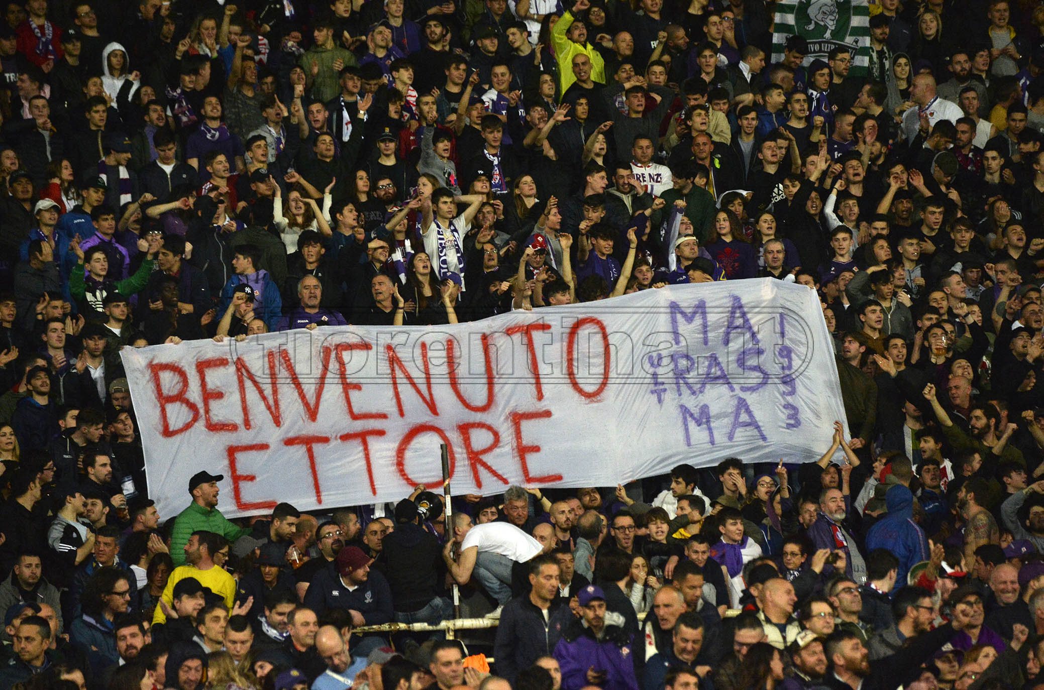 FIORENTINA-GENOA 26-09-2019 TIFOSI DELLA FIORENTINA. GALASSI SILVANO/SILPRESS