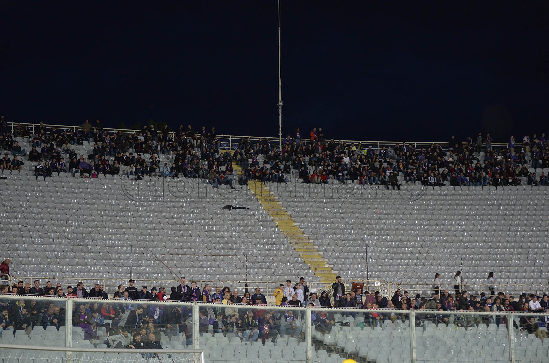La giornata viola, il riassunto