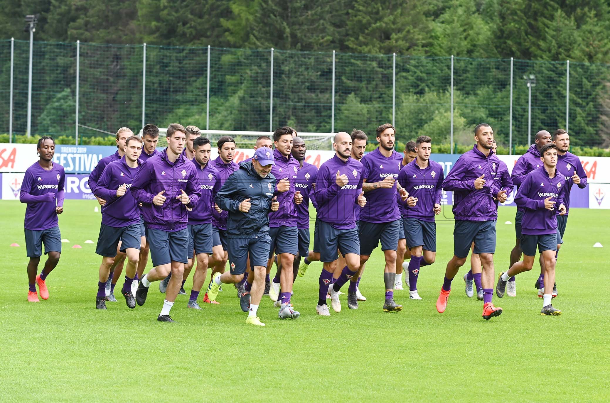 La giornata viola, il riassunto