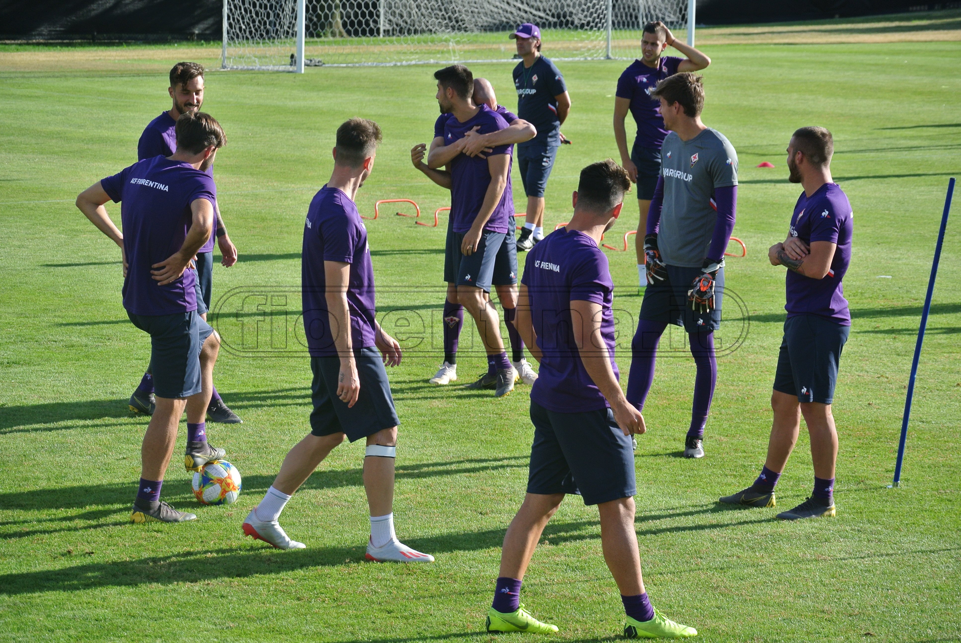 La giornata viola, il riassunto