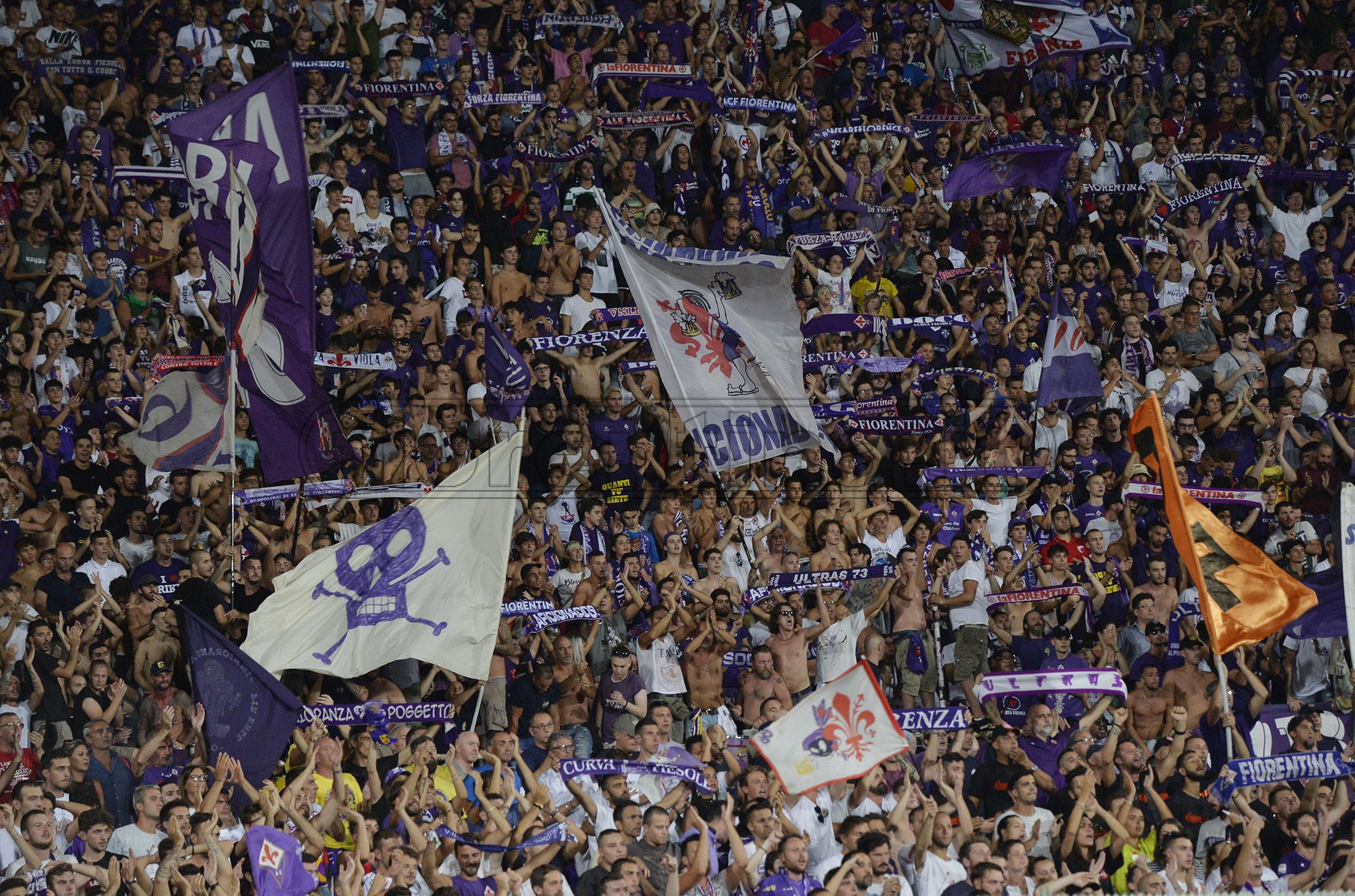 La giornata viola: il riassunto