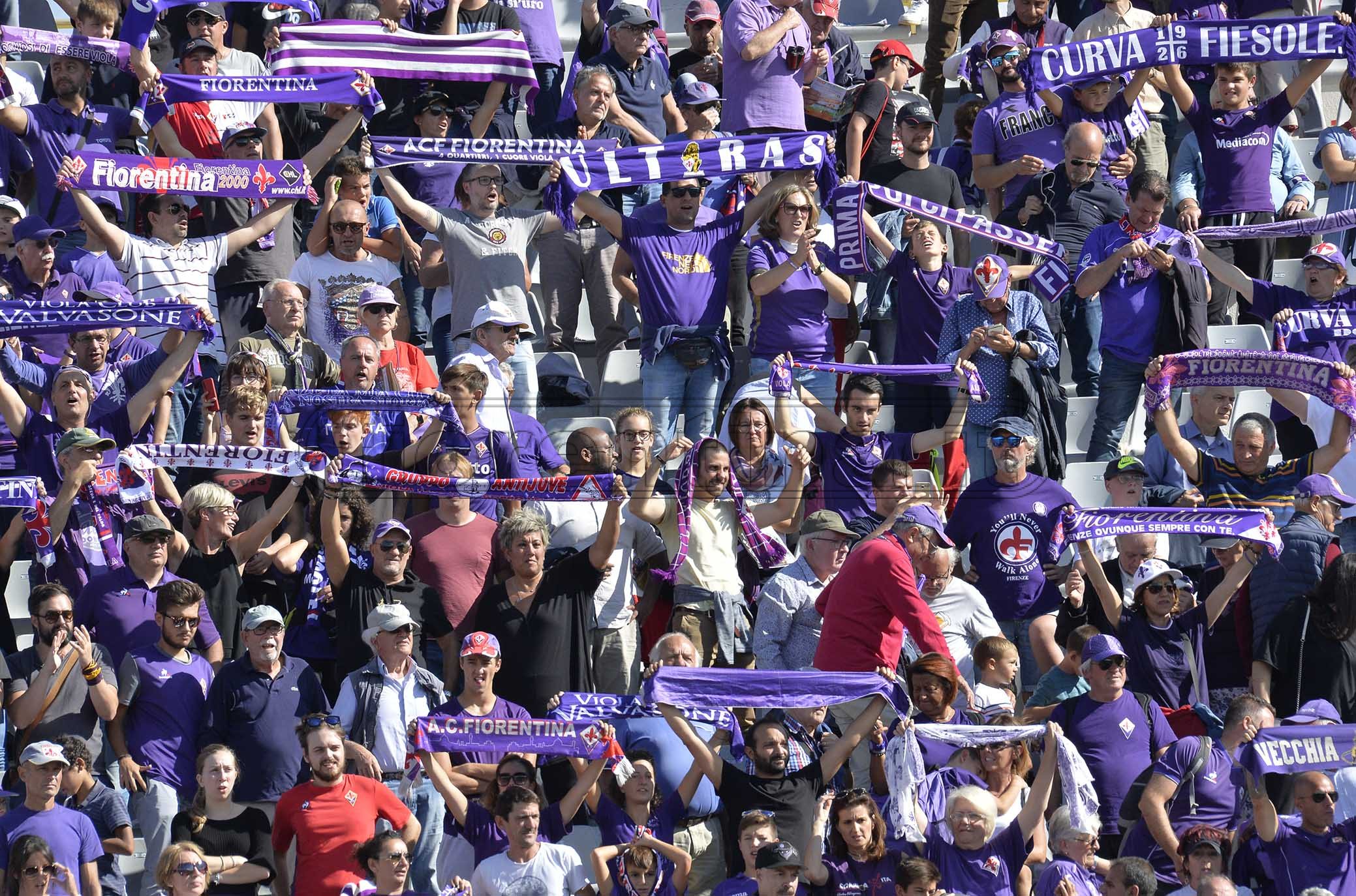 La giornata viola, il riassunto