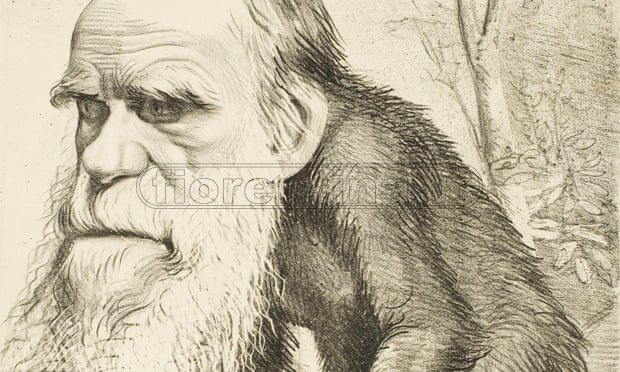 Il blog di Ludwigzaller: Darwin