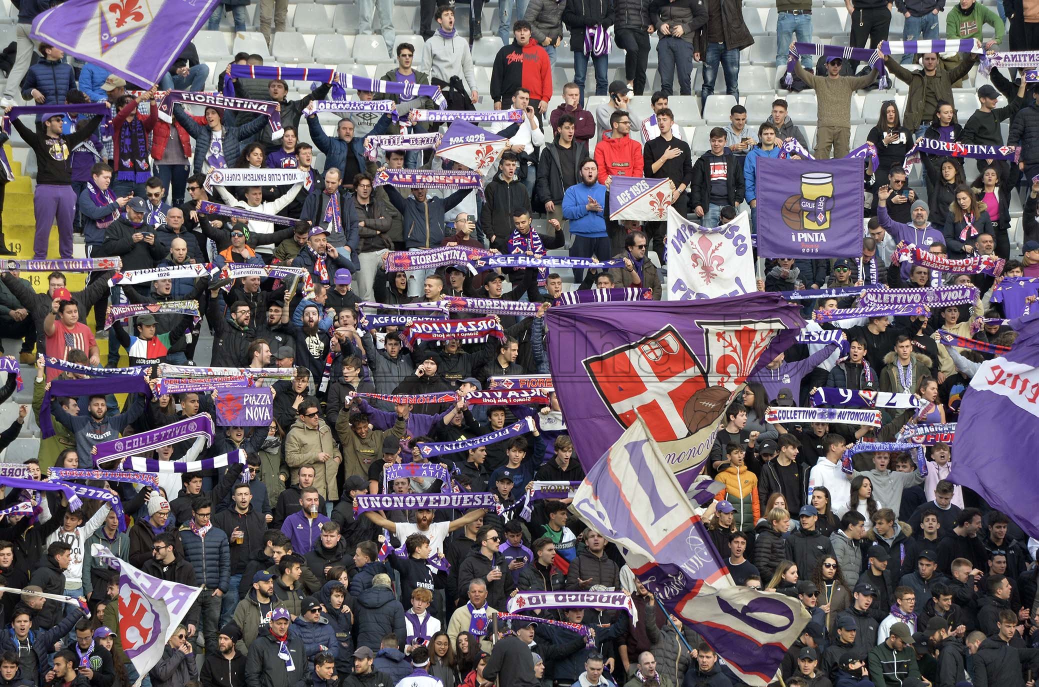 La giornata viola: il riassunto