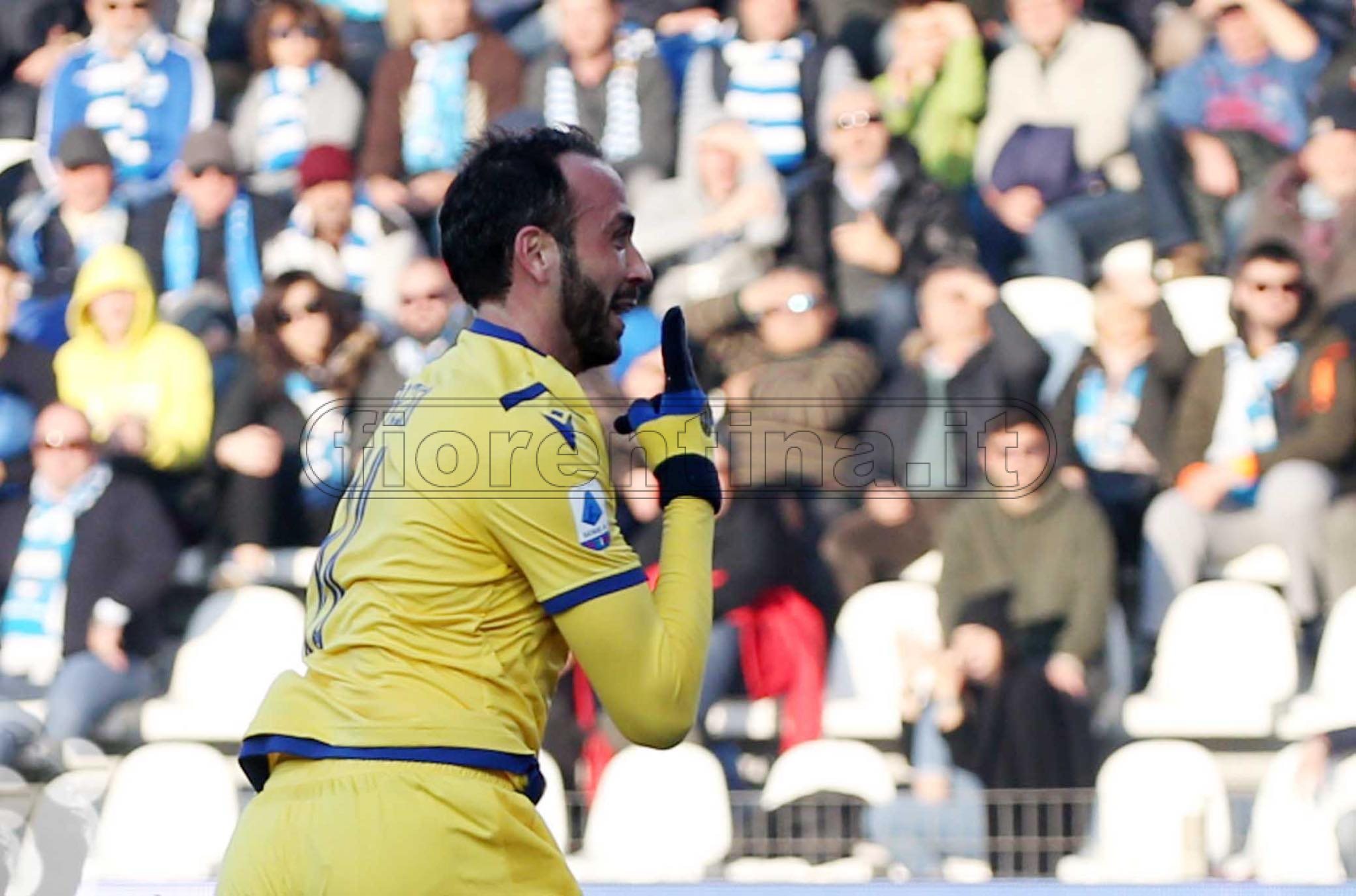 Serie A, il Verona vince a Ferrara 0-2. In gol anche l'ex viola Pazzini