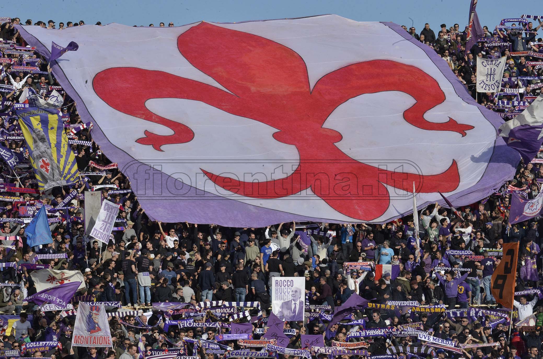 La giornata viola, il riassunto