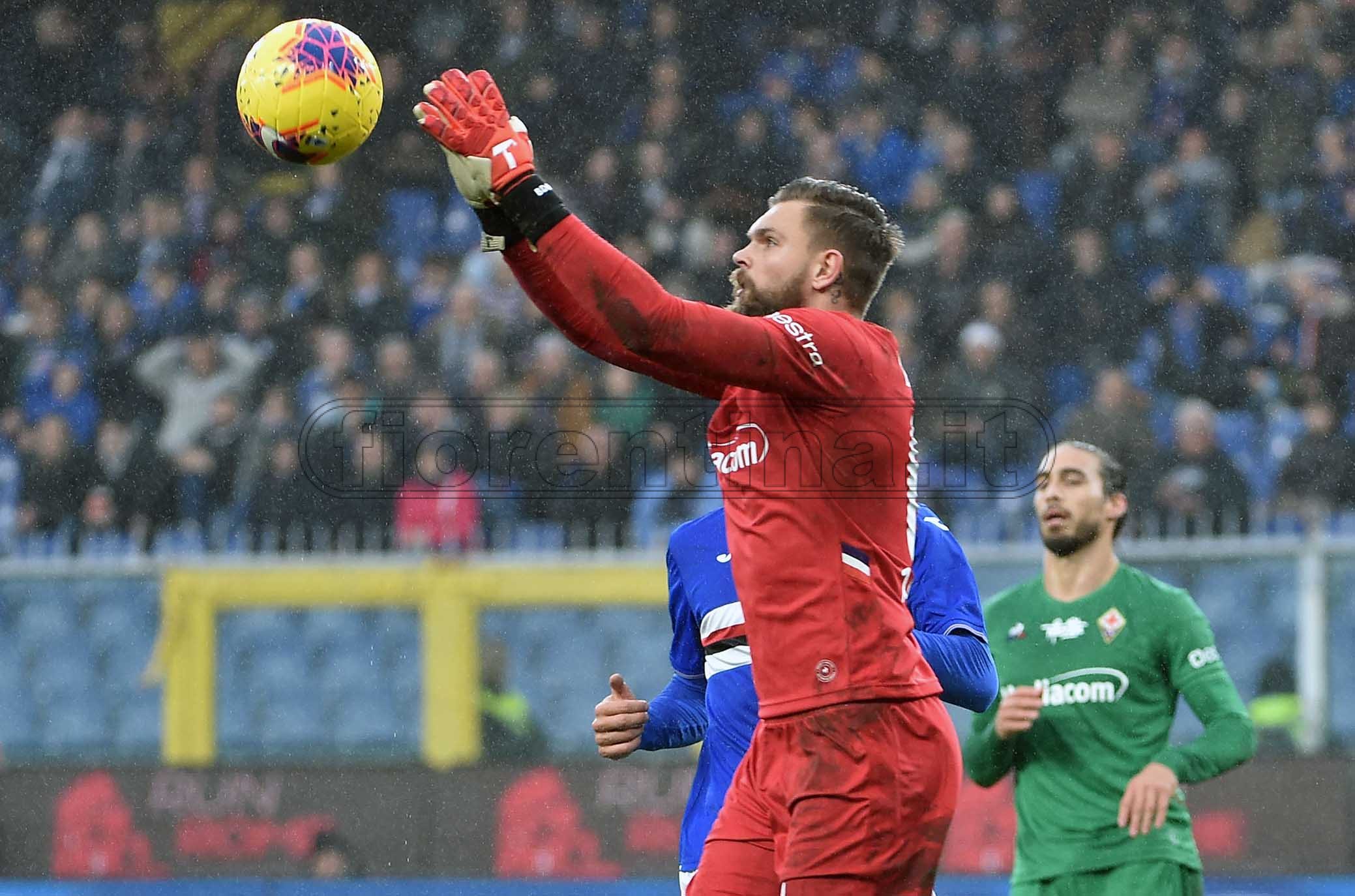 Dragowski, rinnovo in vista. Sarà blindato, la Fiorentina adesso è sua