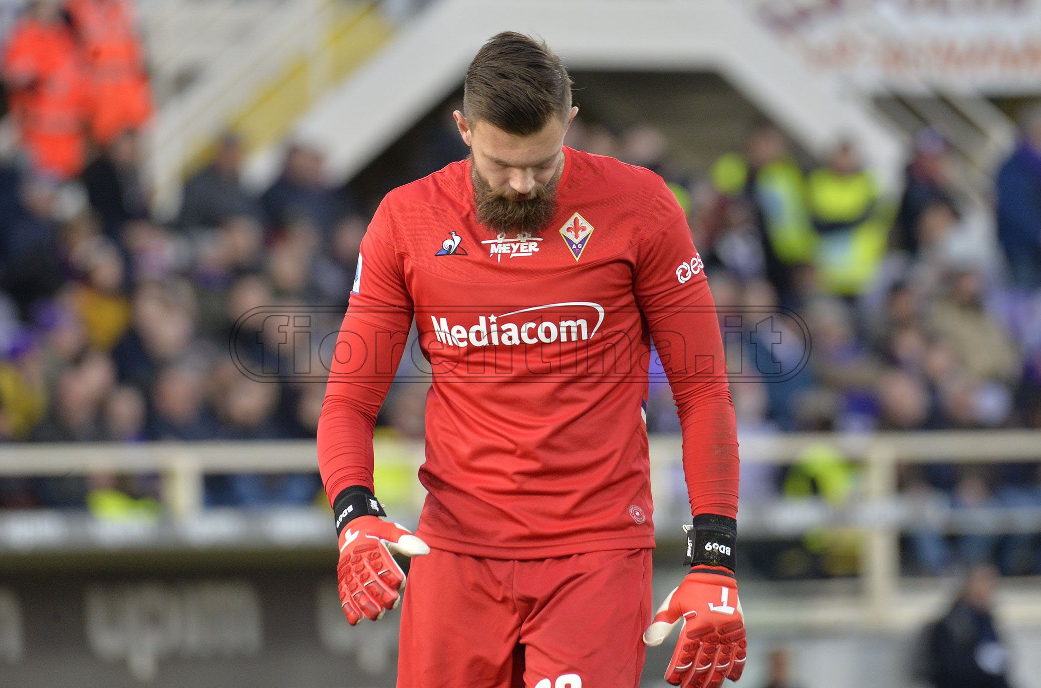 Un Drago su Parolo e Jony, beffato da Caicedo: serata a due facce per il portiere viola