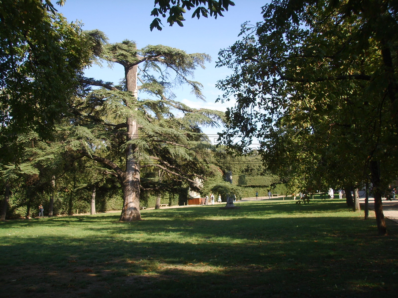 Coronavirus, Firenze chiude i giardini pubblici con cancelli