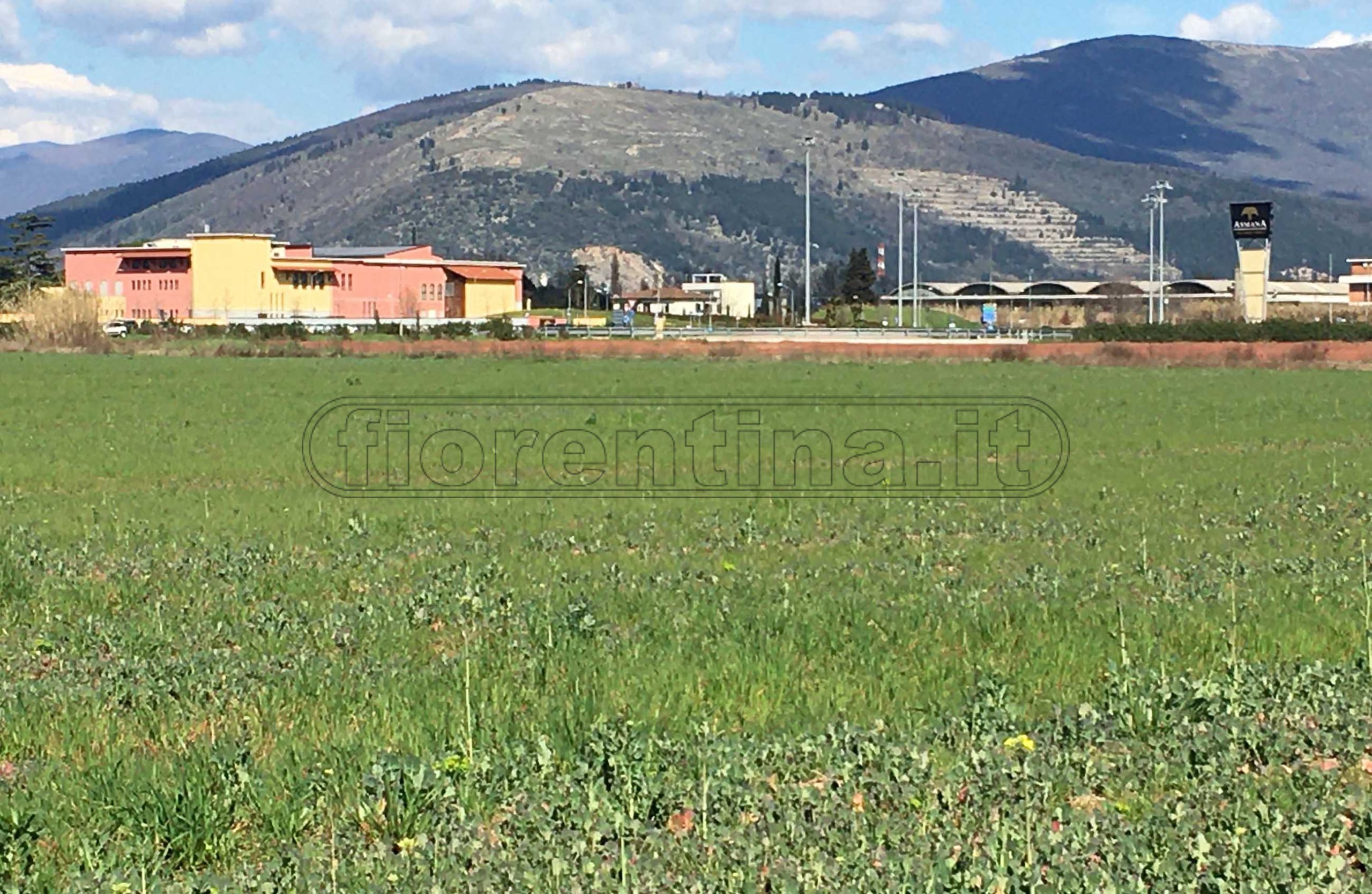 Vicesindaco Campi: "Lo stadio va fatto. Firenze non perda questa occasione"