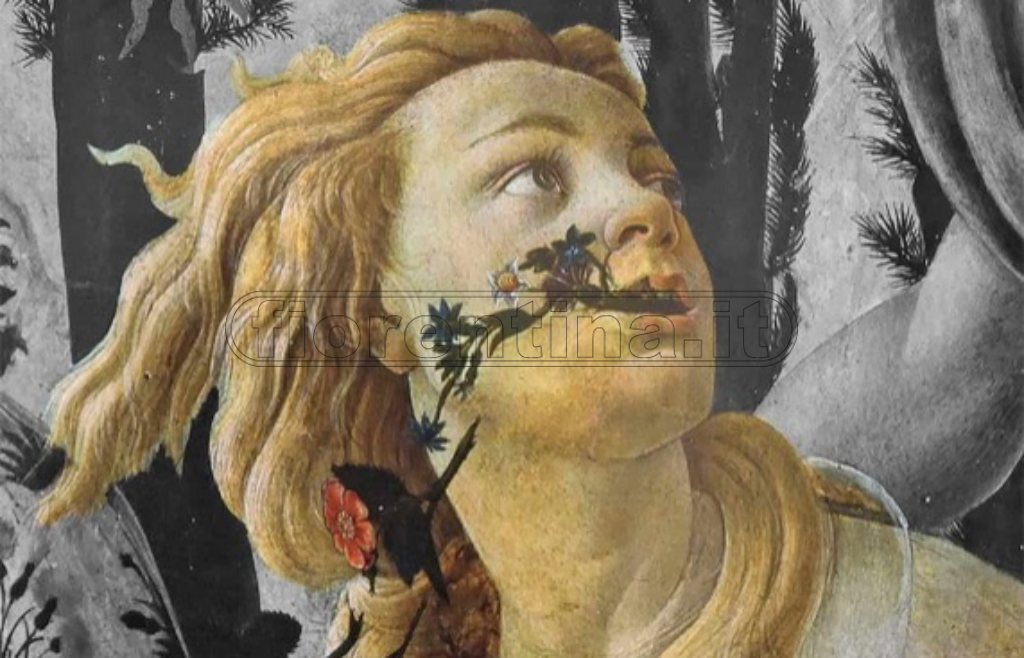 Il blog di Ludwigzaller - Rinascita