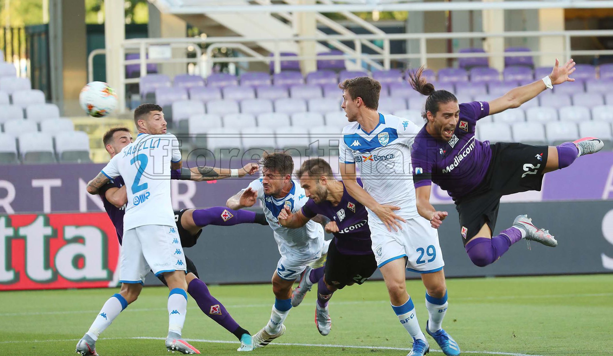 La giornata viola, il riassunto